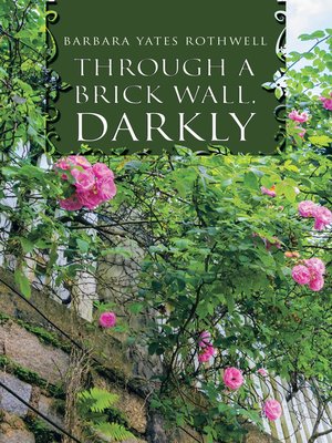 cover image of Through a Brick Wall, Darkly